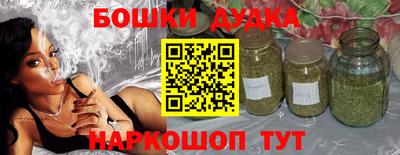 МДПВ Будённовск