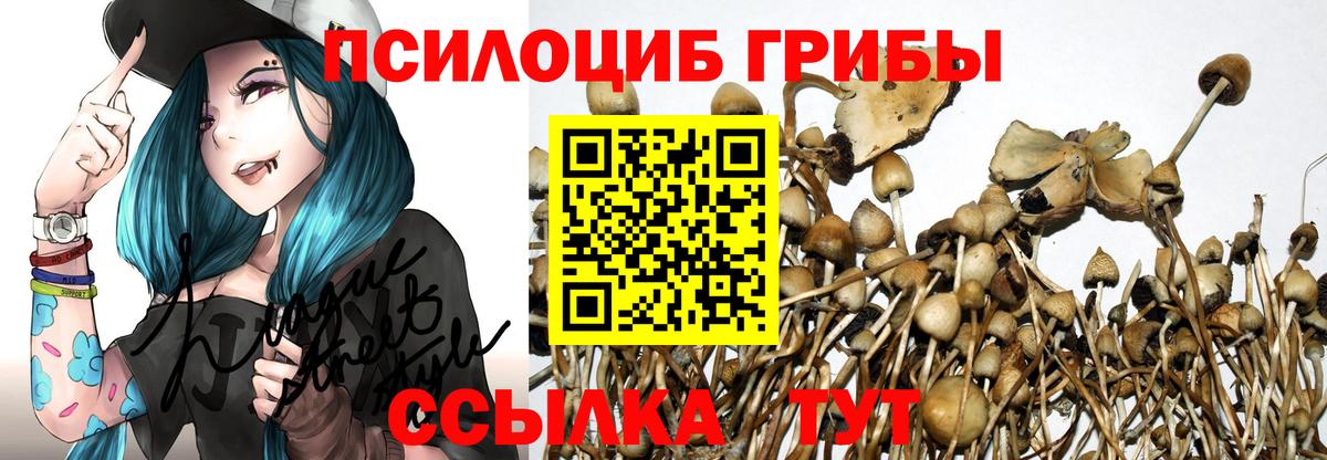 Галлюциногенные грибы MAGIC MUSHROOMS  Вход с VPN  Новоалександровск 
